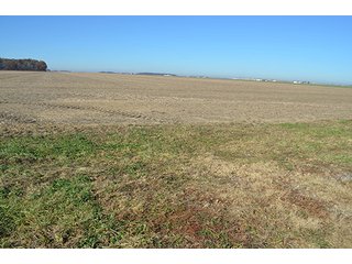 Tract 2 - FARMLAND AUCTION - 165.5+/- ACRES OFFERED IN 5 TRACTS OR COMBINATIONS IN EAST ALLEN COUNTY